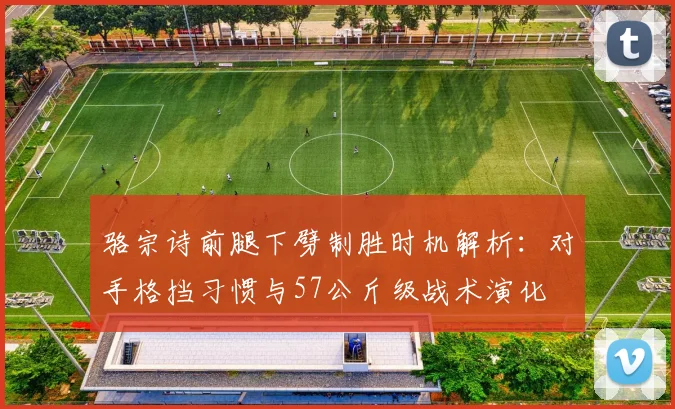 骆宗诗前腿下劈制胜时机解析：对手格挡习惯与57公斤级战术演化