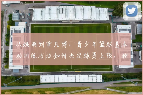 从姚明到曾凡博，青少年篮球基本功训练方法如何决定球员上限，控运投传细节全解析