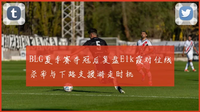 BLG夏季赛夺冠后复盘Elk霞对位线杀率与下路支援游走时机