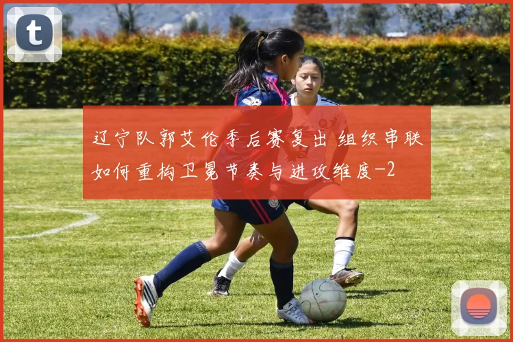 辽宁队郭艾伦季后赛复出 组织串联如何重构卫冕节奏与进攻维度