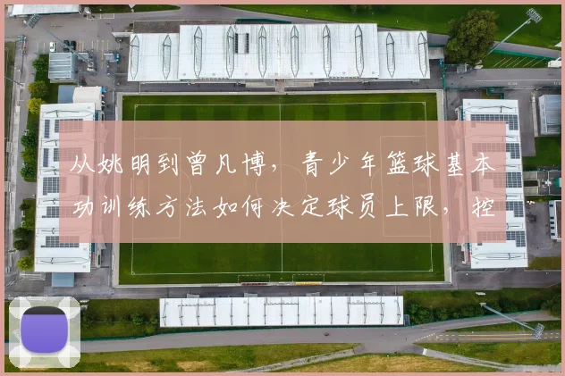 从姚明到曾凡博，青少年篮球基本功训练方法如何决定球员上限，控运投传细节全解析