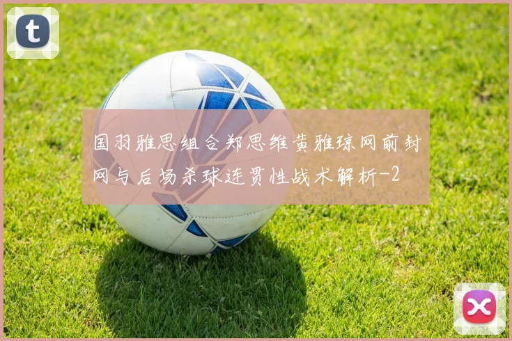 国羽雅思组合郑思维黄雅琼网前封网与后场杀球连贯性战术解析